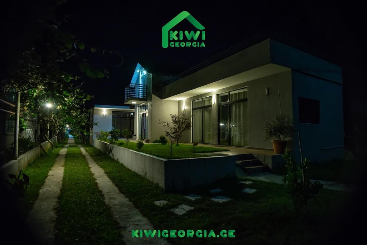 Kiwi Georgia Villa Koboeleti Buitenkant foto