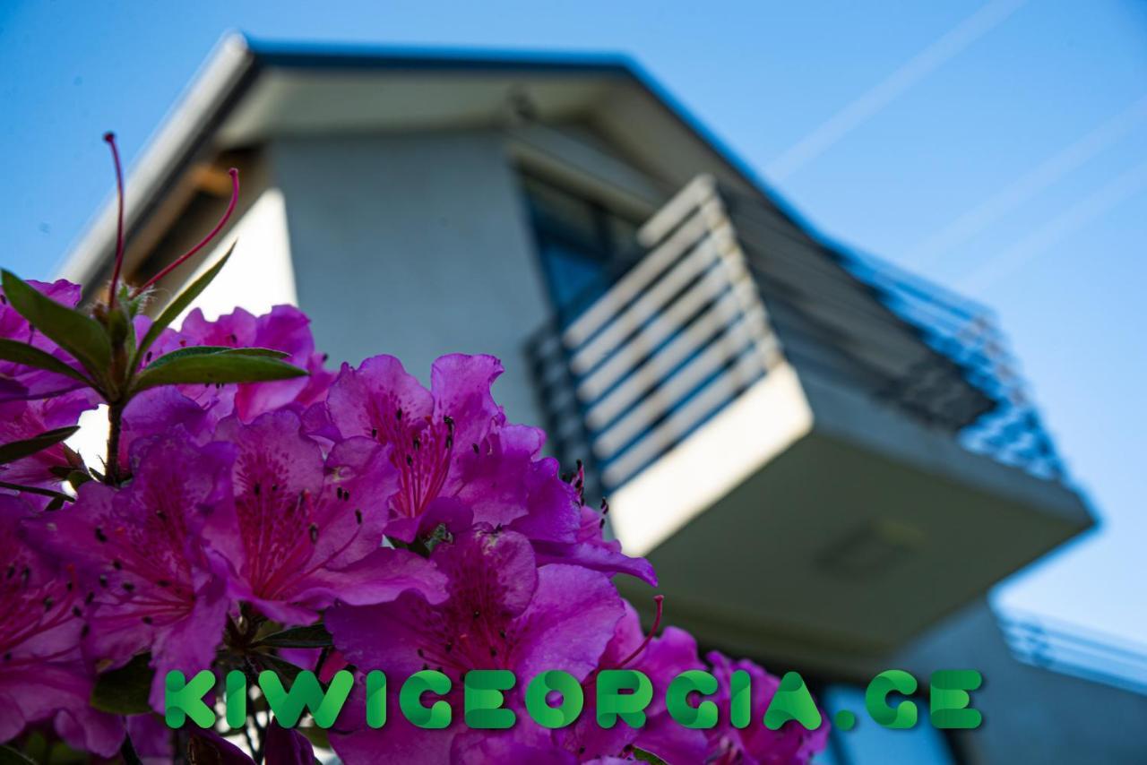 Kiwi Georgia Villa Koboeleti Buitenkant foto