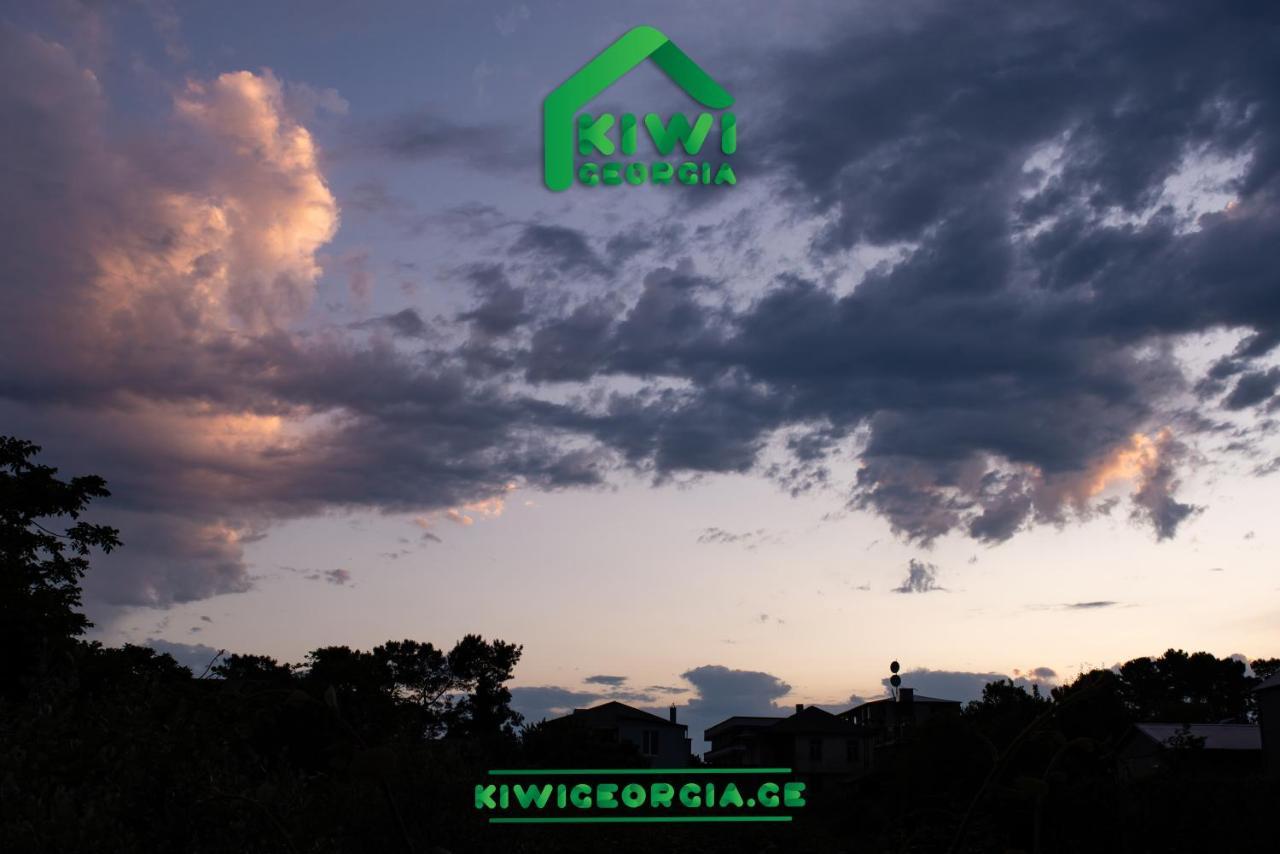 Kiwi Georgia Villa Koboeleti Buitenkant foto