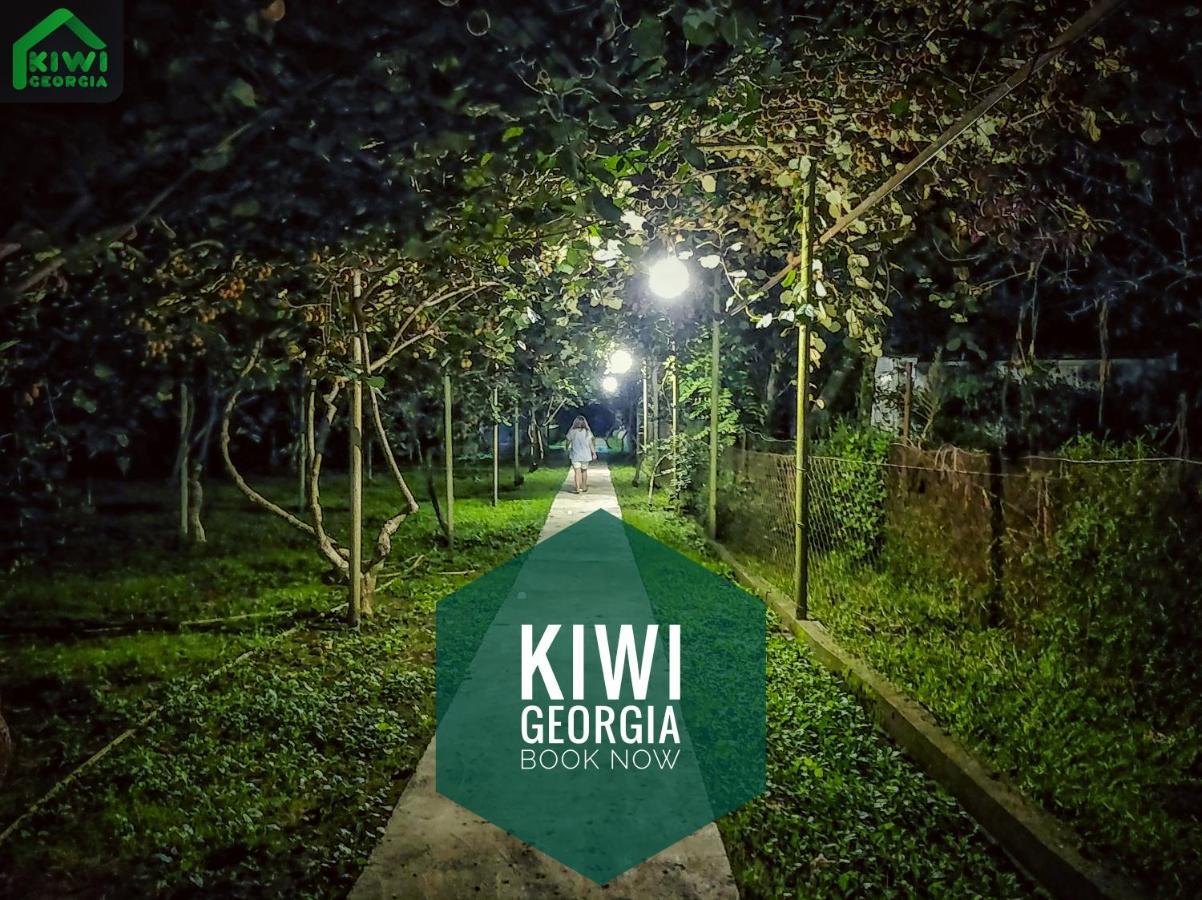 Kiwi Georgia Villa Koboeleti Buitenkant foto