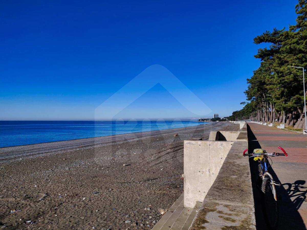 Kiwi Georgia Villa Koboeleti Buitenkant foto