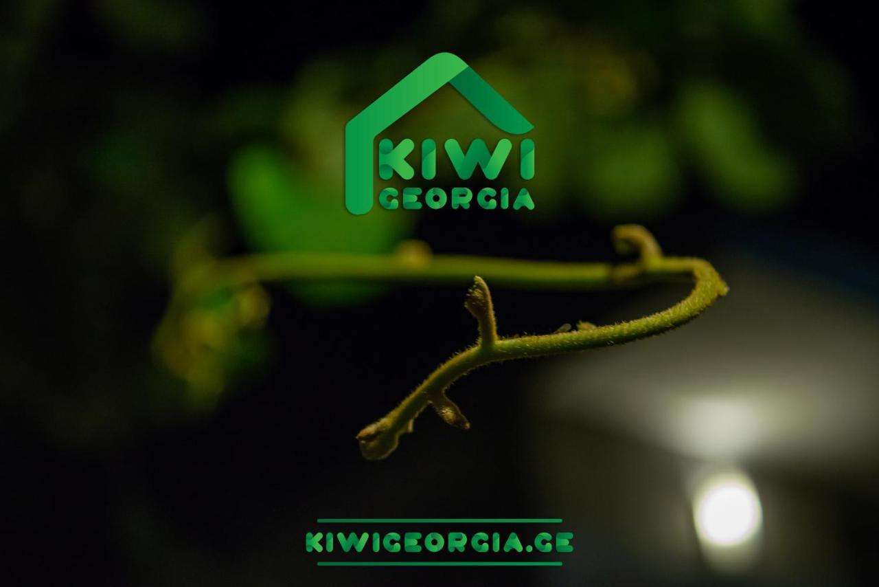 Kiwi Georgia Villa Koboeleti Buitenkant foto