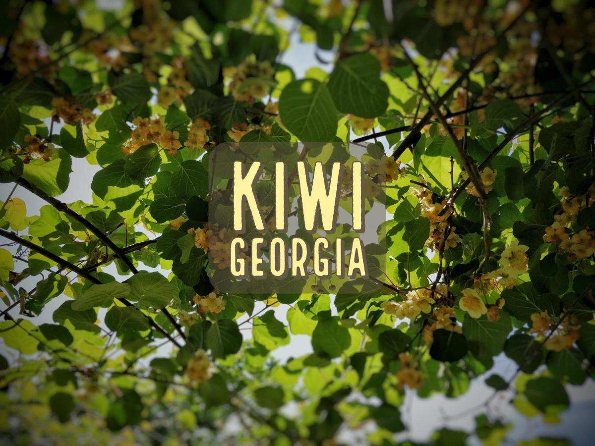 Kiwi Georgia Villa Koboeleti Buitenkant foto