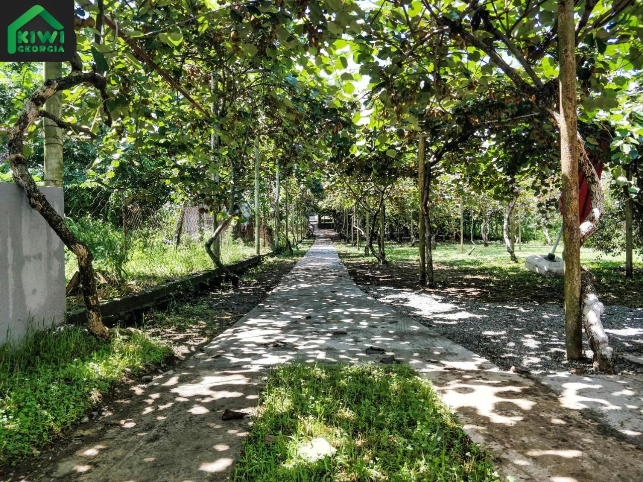 Kiwi Georgia Villa Koboeleti Buitenkant foto